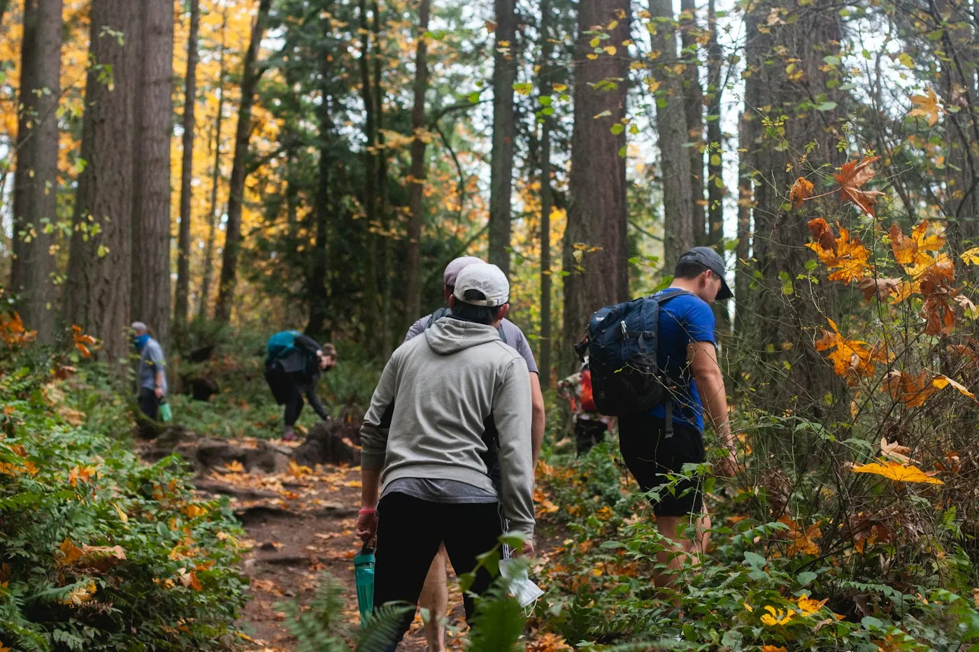 Teammates hiking through autumn woods