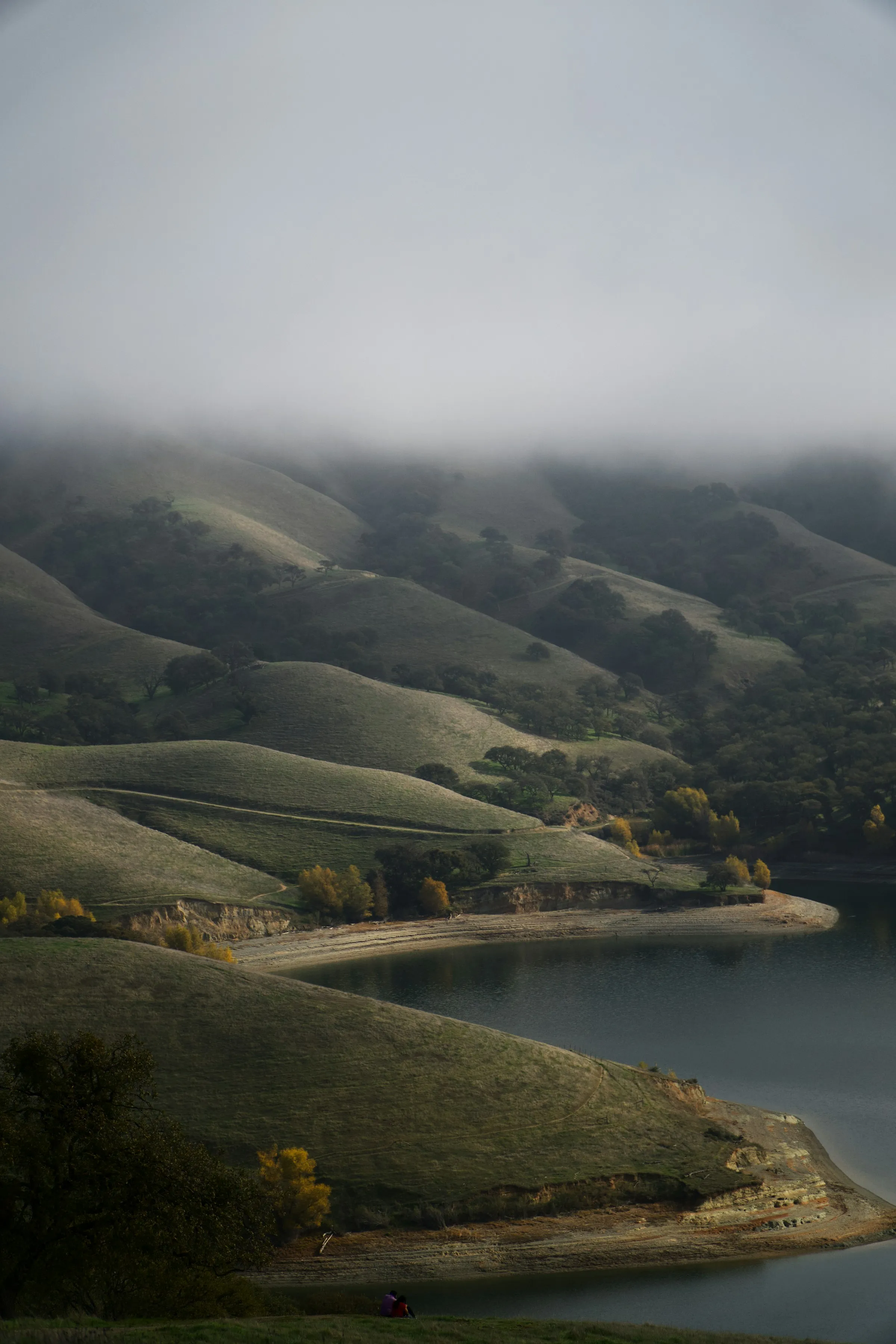 Mist settling over soft hills and a quiet lake